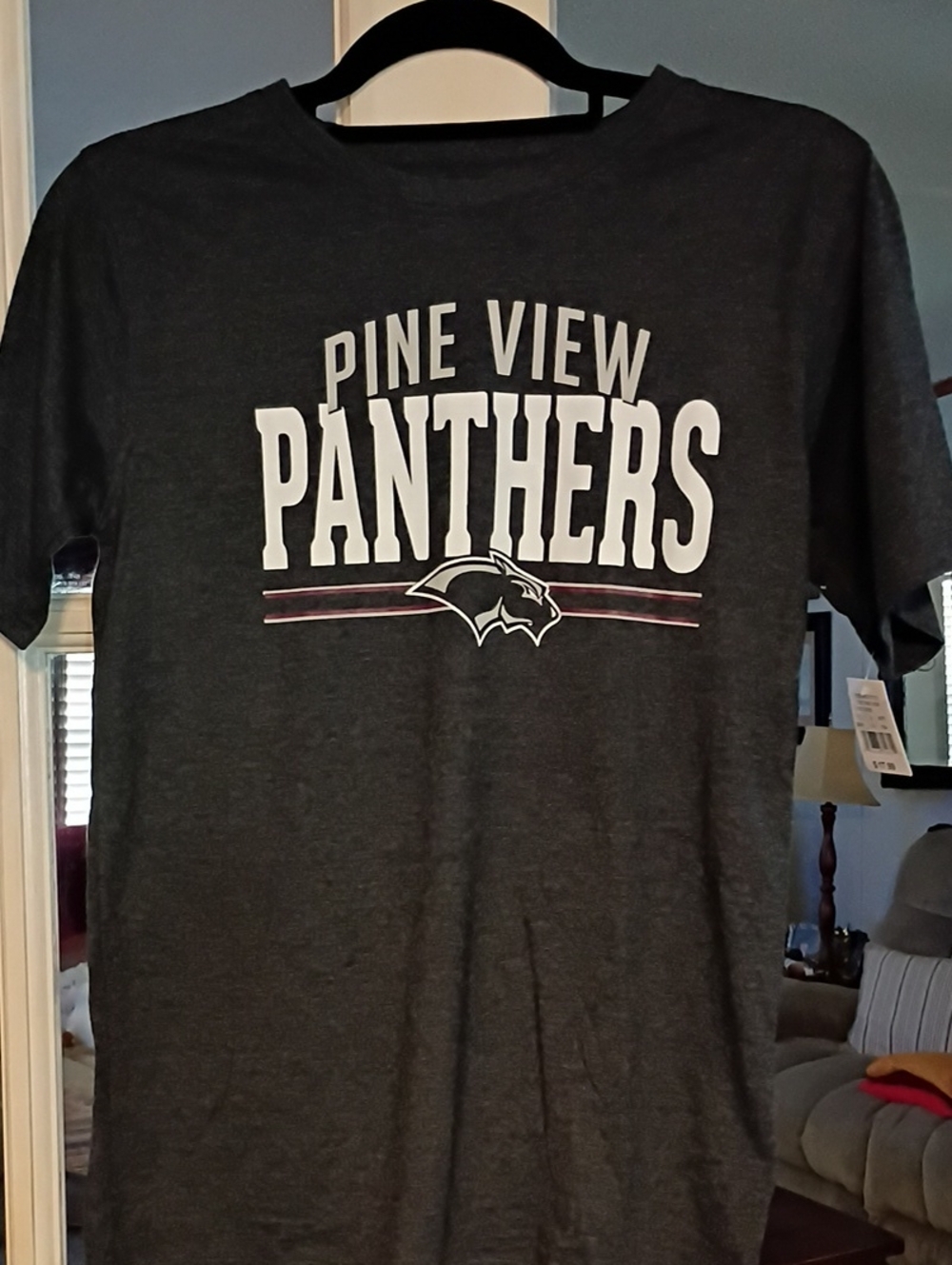 Panthers Women's Gray Graphic T-Shirt